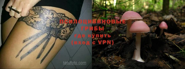 первитин Дегтярск