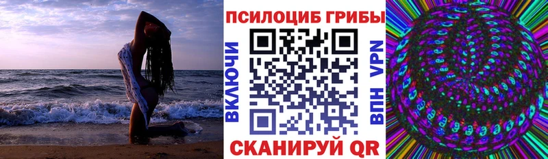 сколько стоит  Переславль-Залесский  Псилоцибиновые грибы мухоморы 