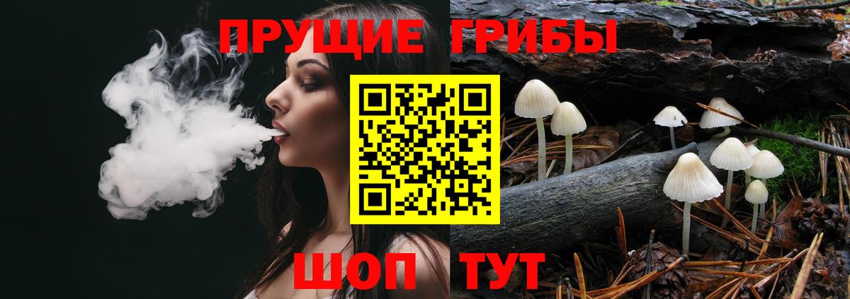 Галлюциногенные грибы MAGIC MUSHROOMS Переславль-Залесский
